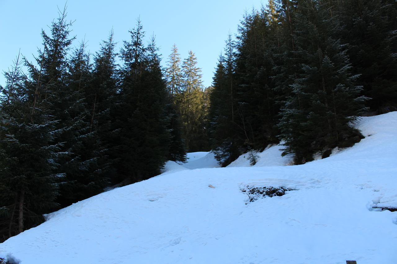 Hotel Berloga-Sinevir Synevyrsʼka Polyana Exteriér fotografie